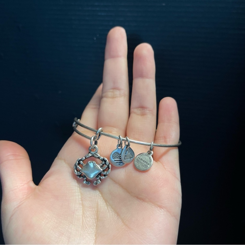 Sterling silver crab charm adjustable Alex and ani bracelet